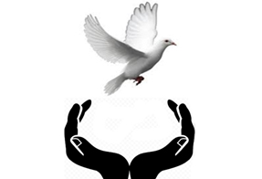 Chaithanya Psychotherapy & Counselling Centre